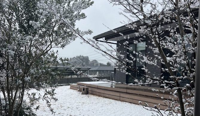 熊本に雪が❄️